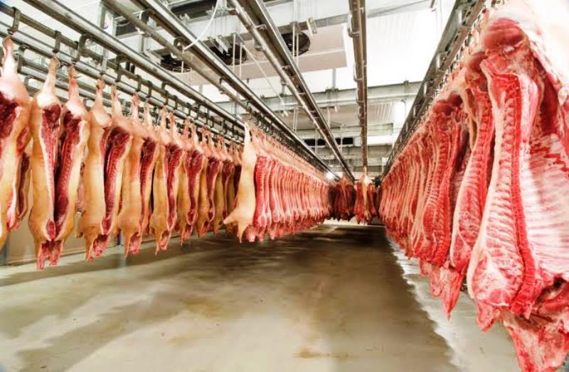 FAO eleva a 7,726 milhões o número de animais eliminados pela peste suína na Ásia