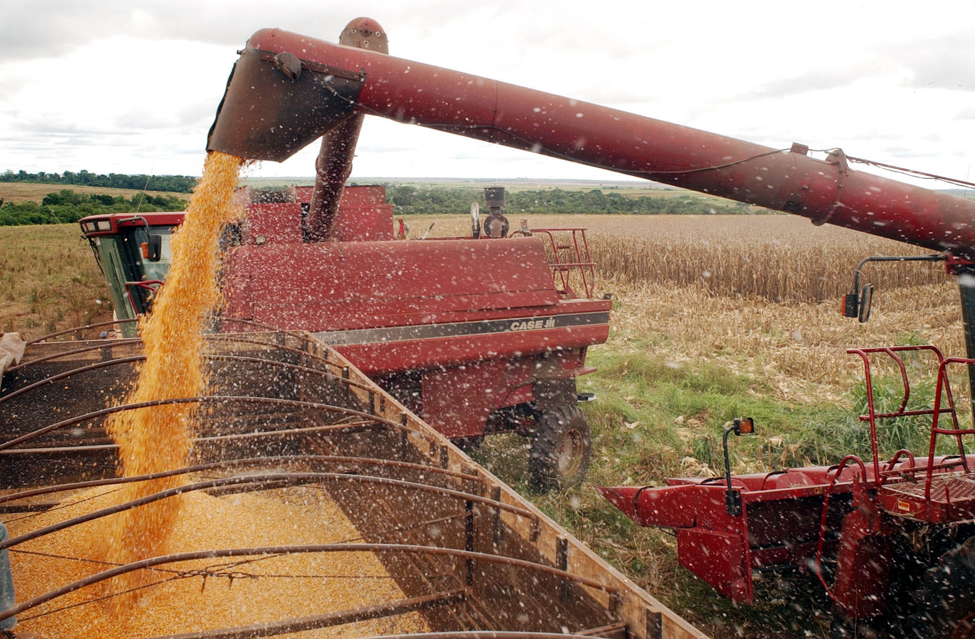 Brasil e Alemanha firmam acordo para apoiar agropecuária sustentável