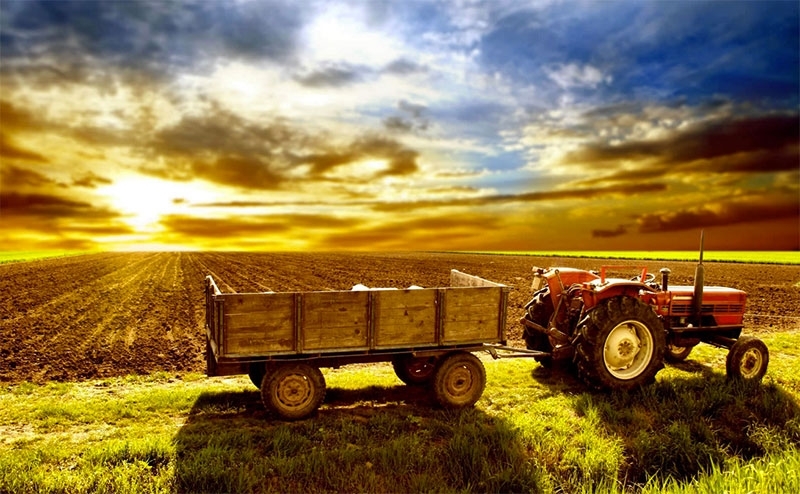 No interior, agro e serviços aquecem emprego formal