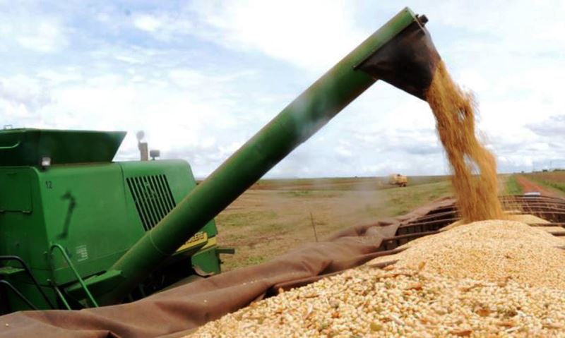 Ipea prevê crescimento maior do PIB do setor agropecuário