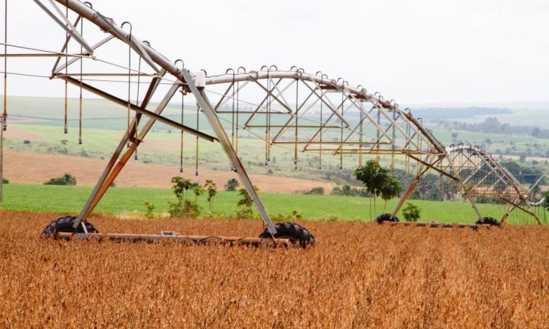 IBGE prevê safra recorde de grãos, com alta de 2,2%