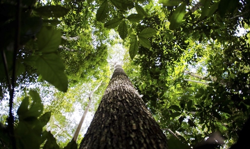 Centro de Biotecnologia quer criar novo polo industrial no Amazonas