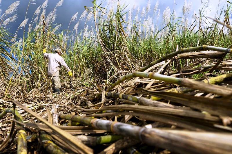 Governo tenta barrar compensação de R$ 72,4 bilhões a usinas