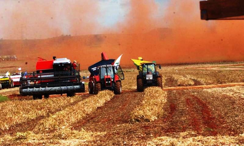 IBGE estima alta de 1,5% na safra de grãos deste ano
