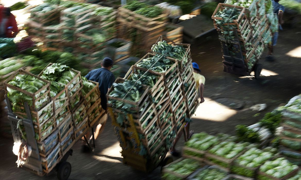Conab reafirma que não há indícios de desabastecimento no país