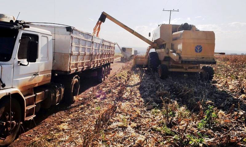 CMN autoriza renegociação de crédito rural