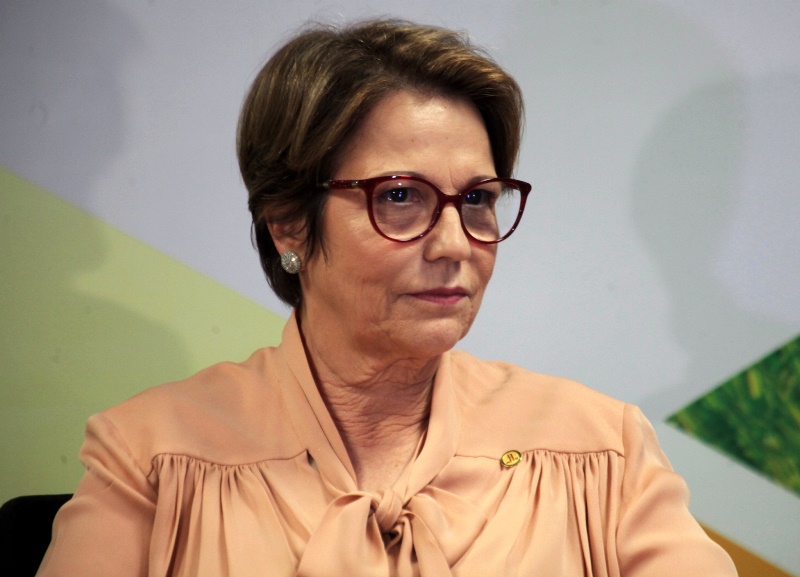 Já é um consenso retirada temporária de PIS/Cofins sobre etanol, diz ministra