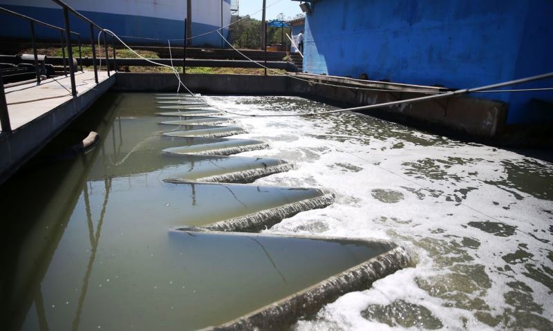 Pesquisa em Minas Gerais encontra coronavírus no esgoto