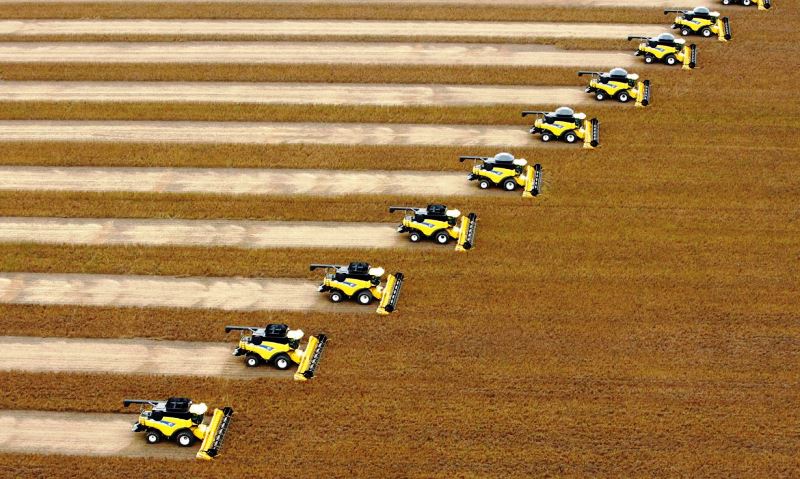 Safra deste ano deve ser 3,8% superior à de 2019