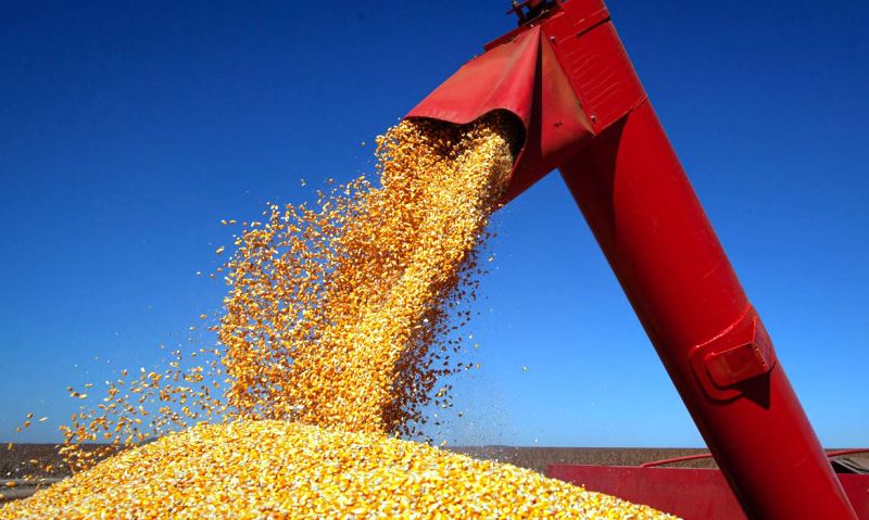 IBGE prevê safra de 253,2 milhões para o próximo ano