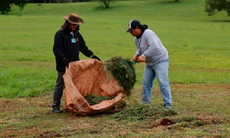 Campanha em São Paulo quer melhorar gestão de resíduos orgânicos