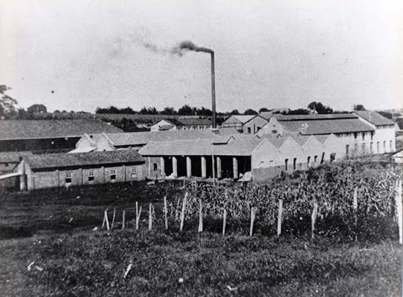 Lucros do café e imigrantes lançaram as sementes da indústria