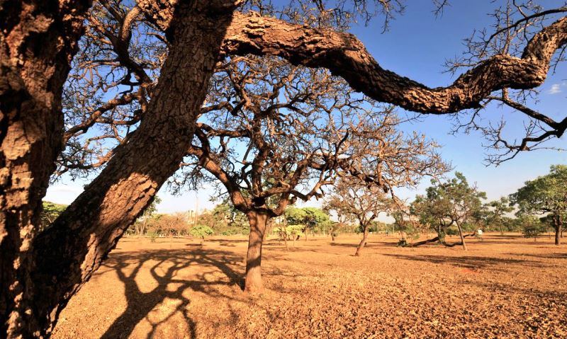 Fórum discute alternativas econômicas para o Semiárido