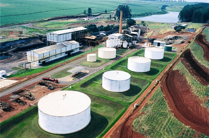 Comitês anunciam relação de troca em reorganização societária