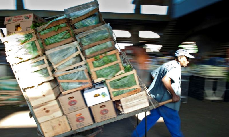Ceagesp entrega mais de 733 toneladas de alimento
