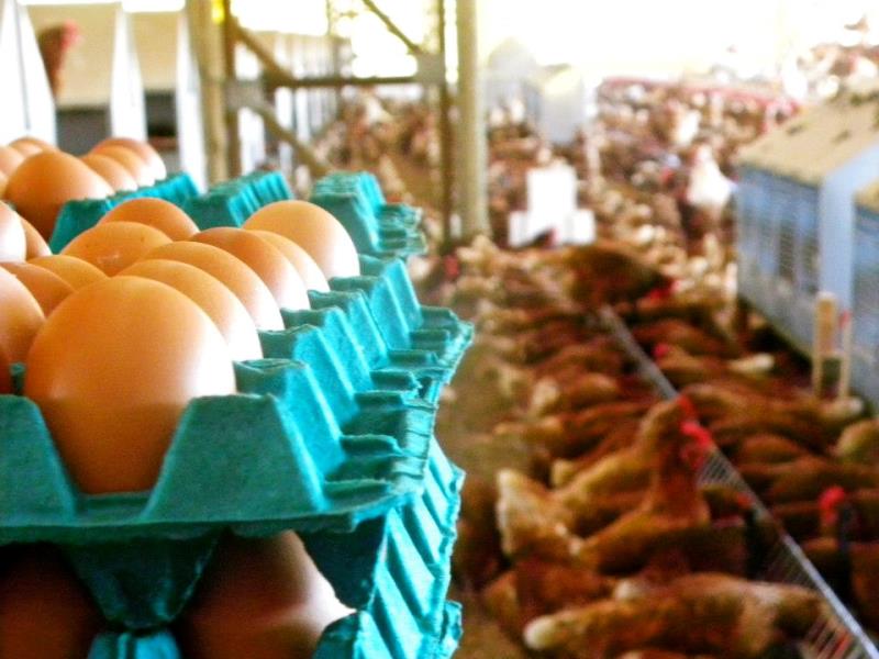 Região cria 7.339 vagas no mercado de trabalho em 2020