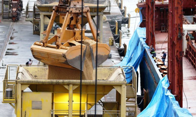 Safra de grãos deve ser recorde