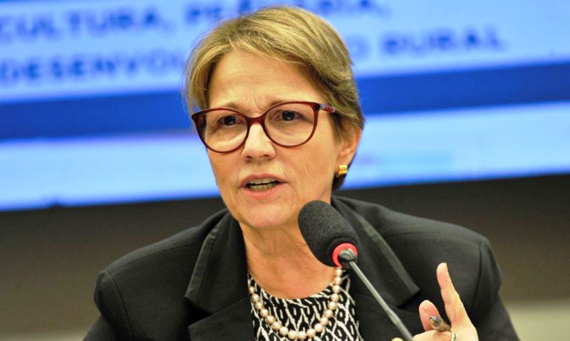 Ministra diz que meio ambiente não deve ser barreira ao comércio