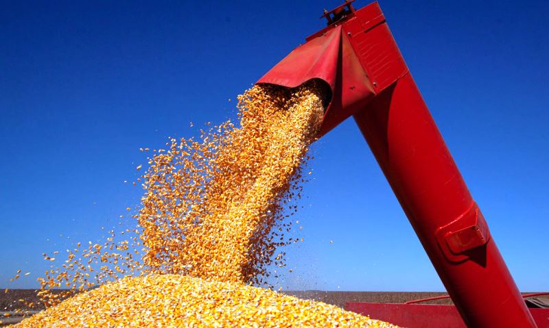 IBGE prevê safra recorde de 264,5 milhões de toneladas