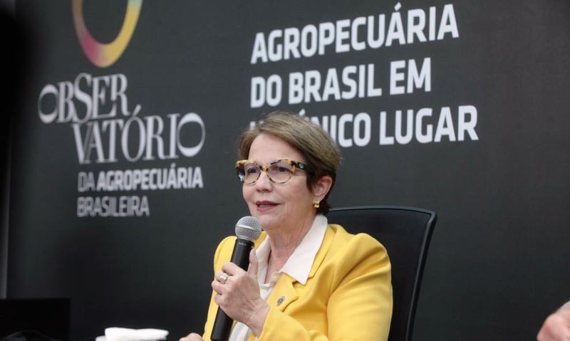 Novo portal unifica dados estratégicos da agropecuária