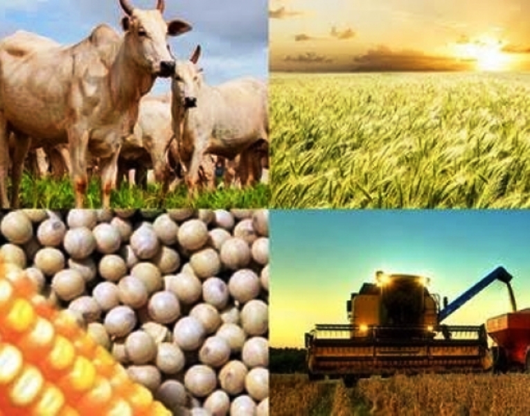 Mercado financeiro eleva projeção da inflação para 6,56%