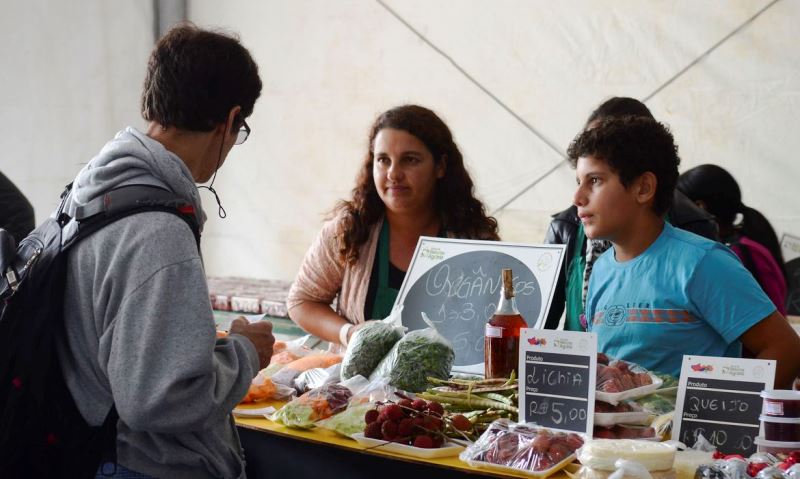 BNDES disponibiliza R$ 5,1 bilhões