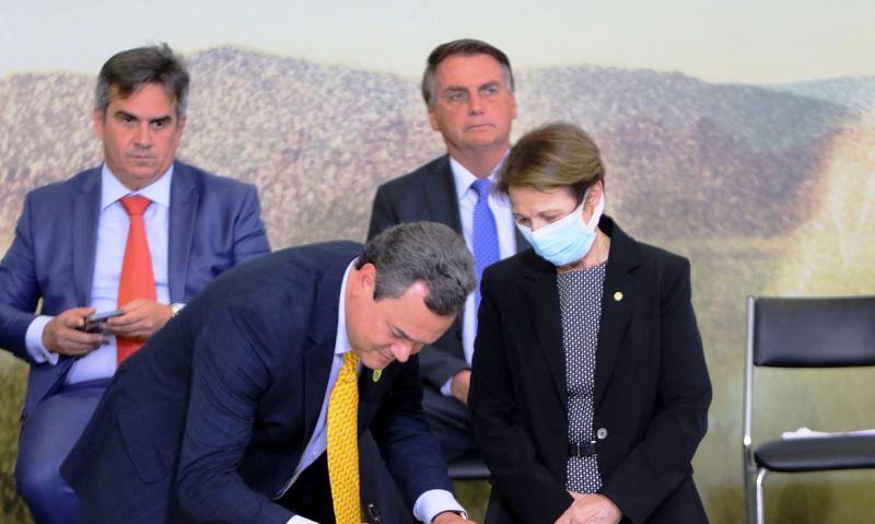 BB libera R$ 2 bi para recuperação de lavouras atingidas por geada