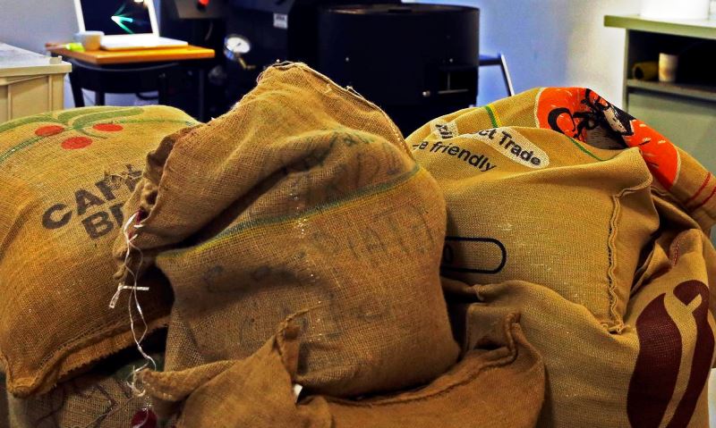 CMN destina R$ 1,3 bi para recompor perdas em cafezais