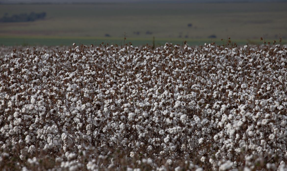 São Paulo lança programa AgroSP+Seguro e anuncia crédito para produtor