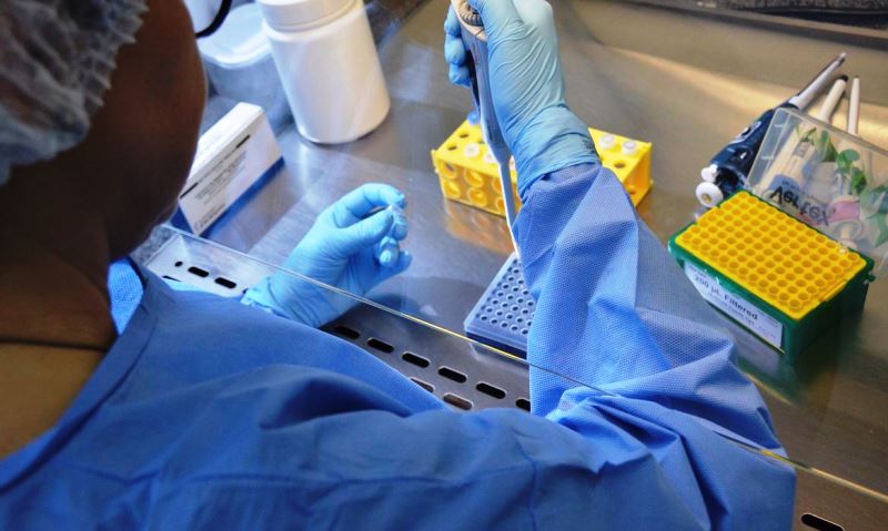 São Carlos registra mais 17 novos casos de Covid-19