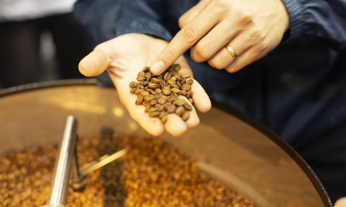 CMN remaneja recursos de ajuda a cafezais afetados por geadas