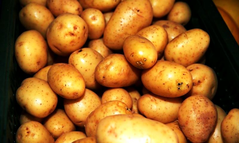 Programa Modernização do Mercado Hortigranjeiro tem 1º boletim