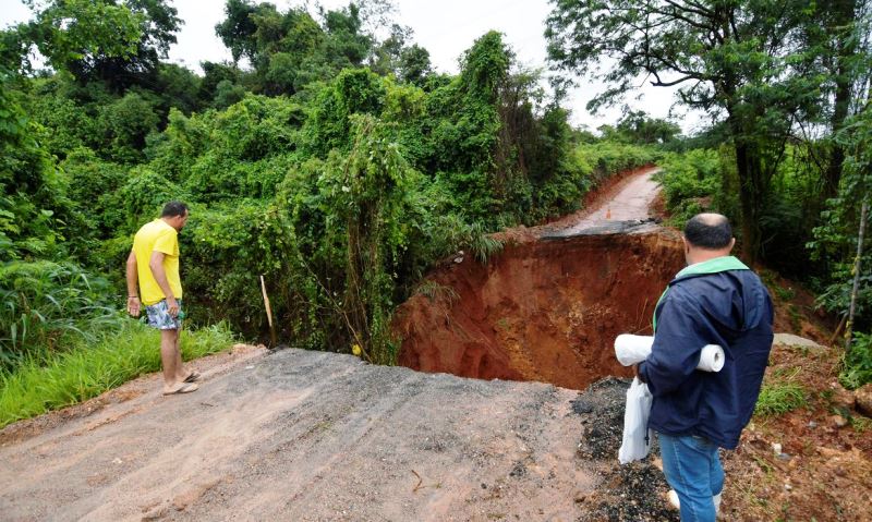 Chuvas provocam perdas de 119 mil hectares de lavouras de Minas Gerais