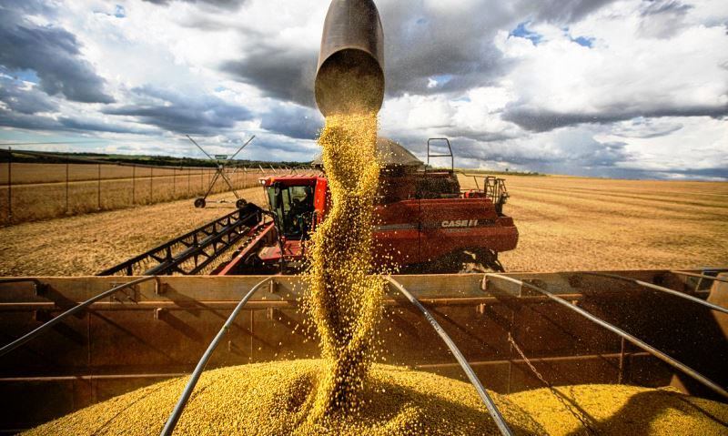 Comércio exterior do agronegócio tem saldo de US$ 9,3 bi