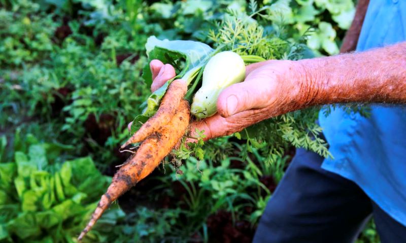 Brasil terá crédito de US$ 1,2 bi para projetos agrícolas