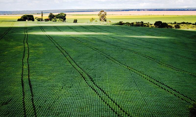 Ipea reduz previsão de PIB agropecuário de 2022 do país para 1%
