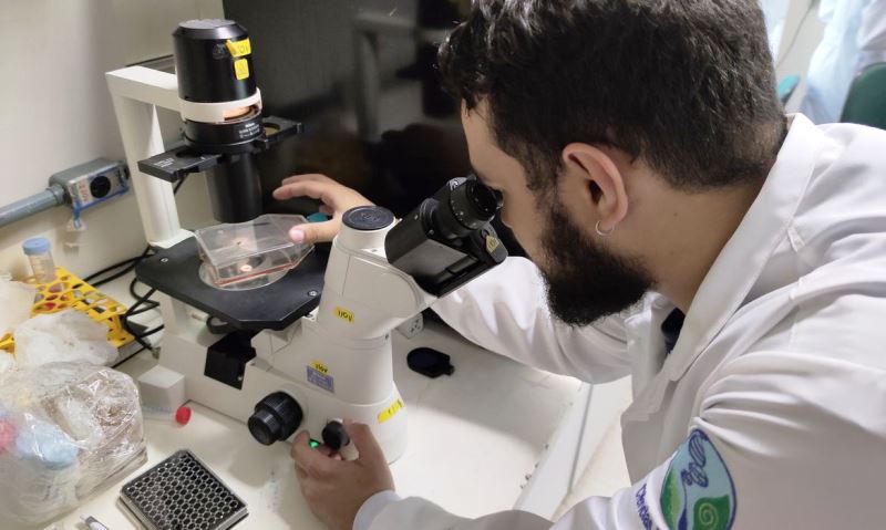 Só 10% das empresas usam financiamento público para pesquisa