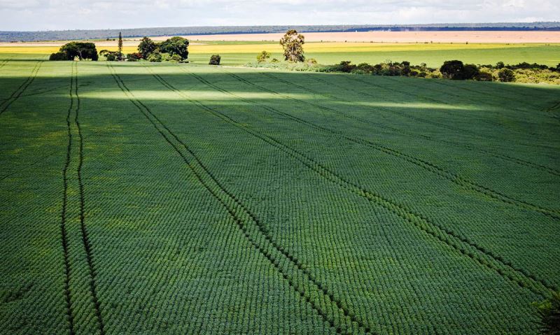 IBGE estima safra recorde de 261,5 milhões de toneladas