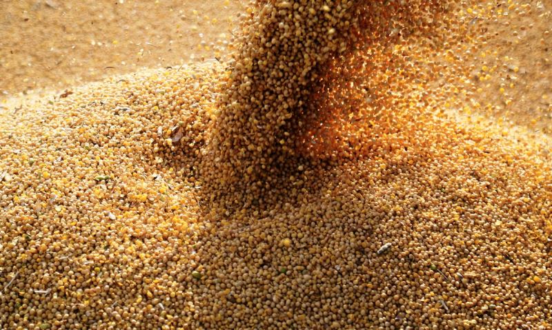 Guerra na Ucrânia afeta preços de commodities agrícolas