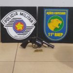 Miniatura de 