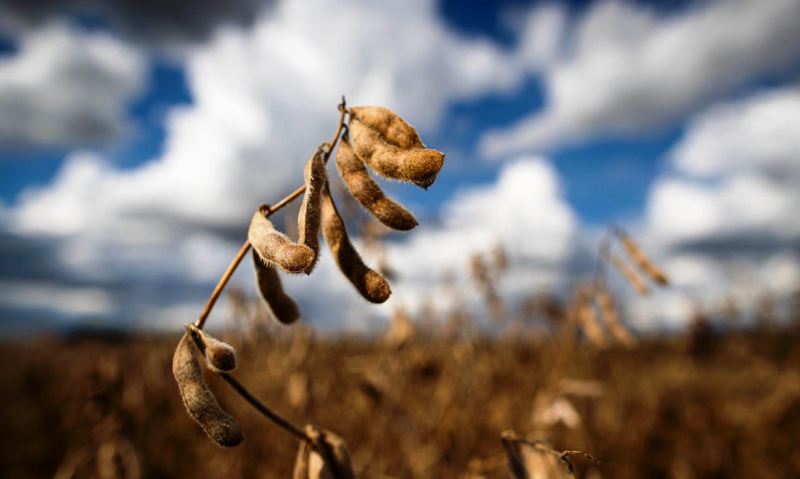 Previsão do Ipea é de estabilidade para setor agropecuário