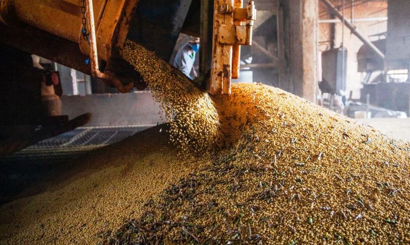 Safra de grãos deve chegar a 271,3 milhões de toneladas