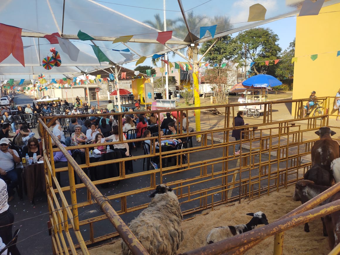 Leilão de Gados encerra festa do Padroeiro