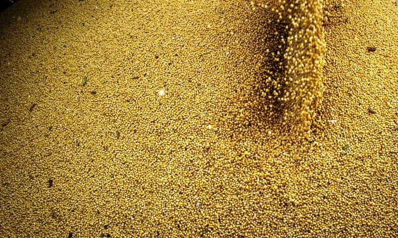 Projeções da AEB para balança comercial apontam para novos recordes