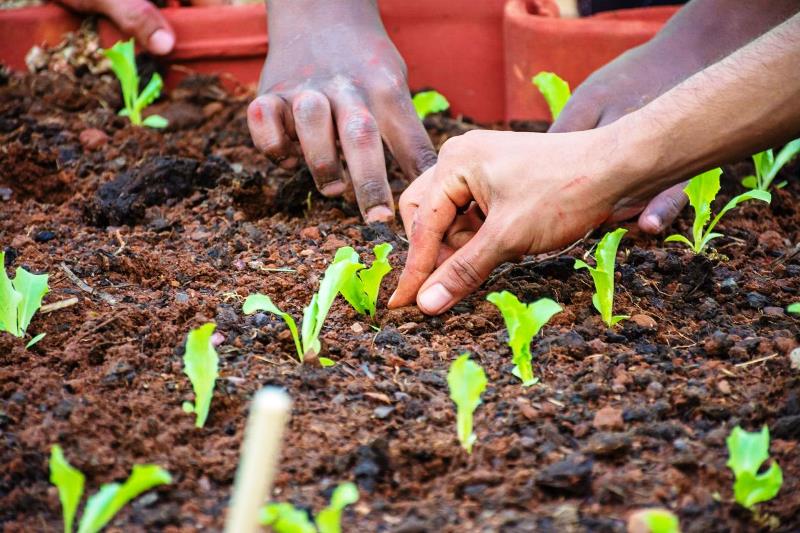 MP, TJ e Prefeitura de Aparecida de Goiânia aprovam Programa Jovem Sustentável e sinalizam realização de novas turmas