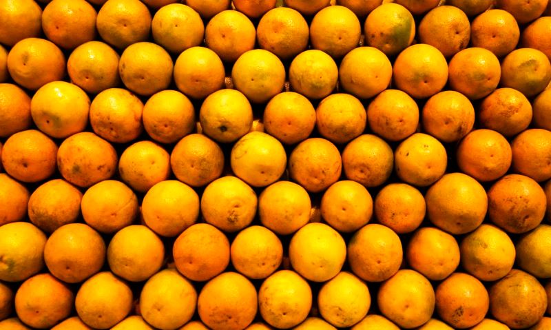 ApexBrasil vai qualificar produtores e empresas para exportar frutas