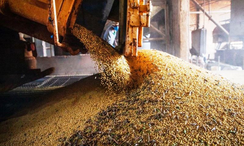 Produção agrícola bate novo recorde e atinge R$ 743,3 bilhões