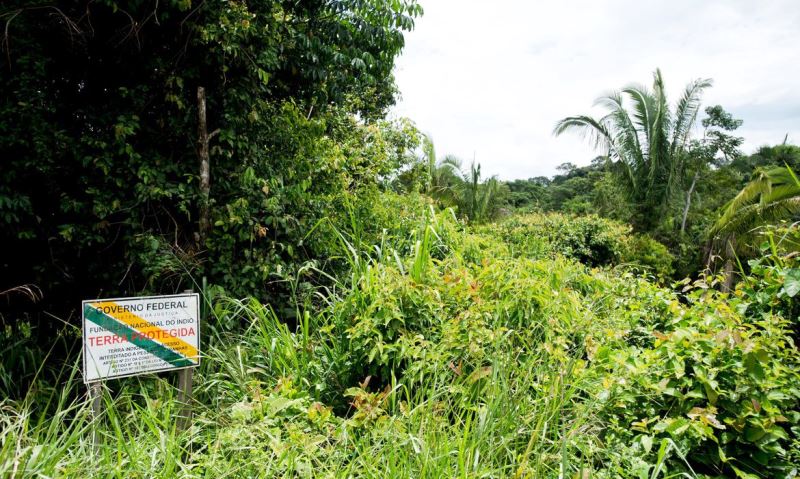 BNDES avalia concessão ambiental com pagamento para conservação