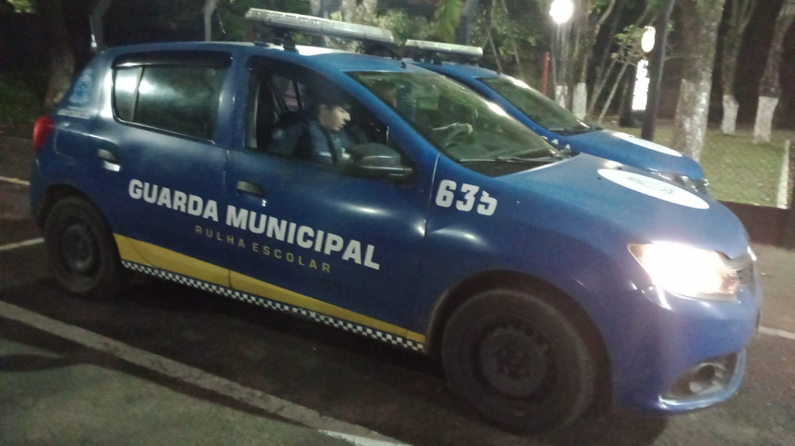 Homem é preso em São Carlos por descumprir medida protetiva