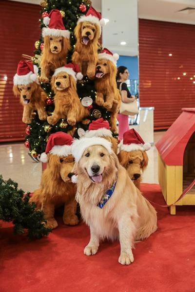 RibeirãoShopping inaugura Árvore Solidária Pet